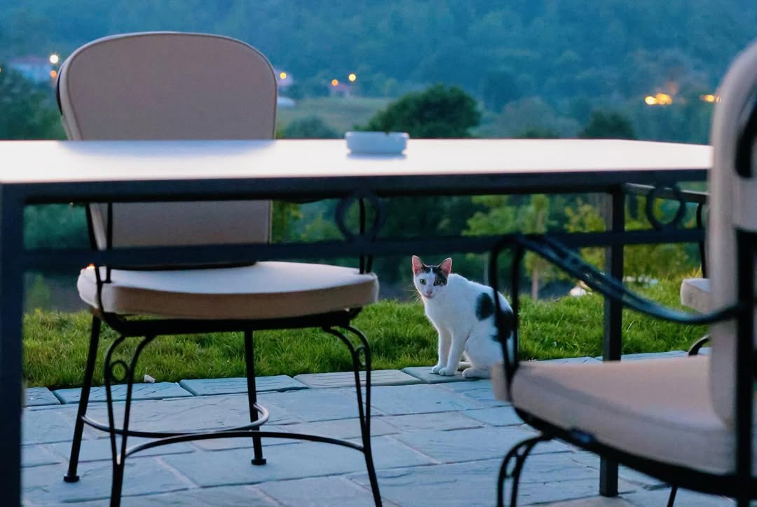 Guests dining on the open terrace with mountain views in the background