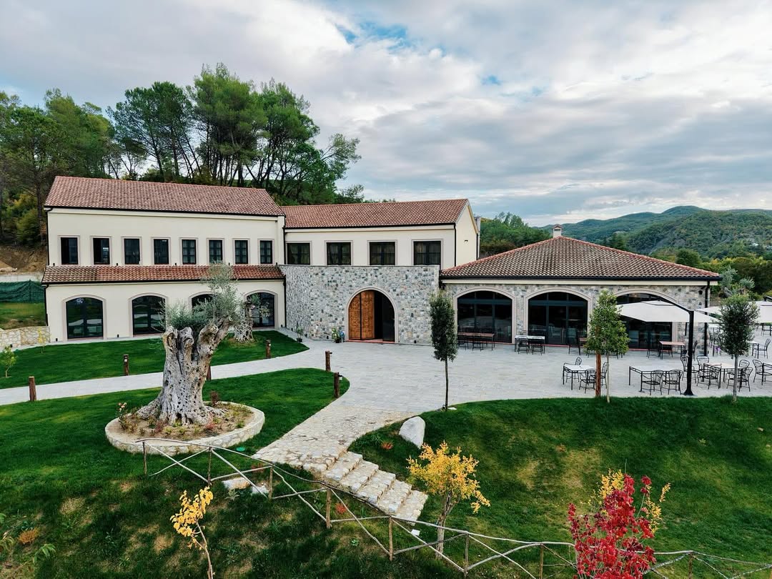 The Mugull farm at golden hour — rolling green hills and terraced land
